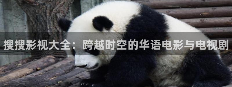 97被窝影院：搜搜影视大全：跨越时空的华语电影与电视剧